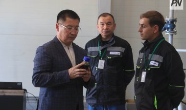 Павлодарцы планируют заместить импорт катализаторов