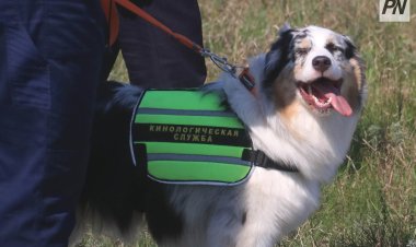 В Павлодаре хвостатые «десантники» заступили на службу