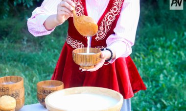 Павлодарцы запустили культурологические дегустации