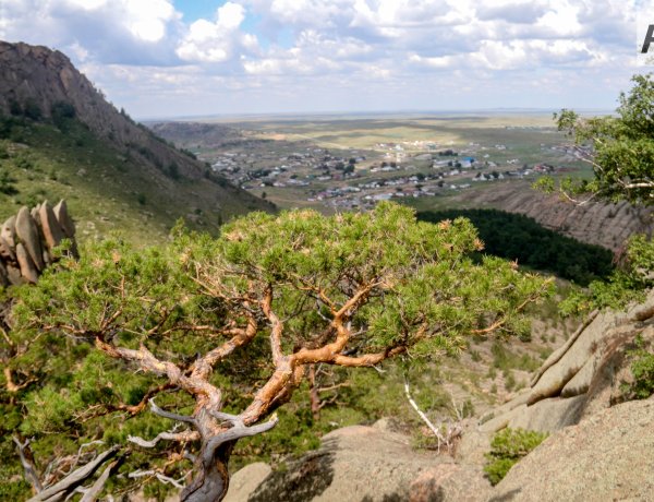 Баянауыл ұлттық табиғи паркіне 40 жыл толып отыр