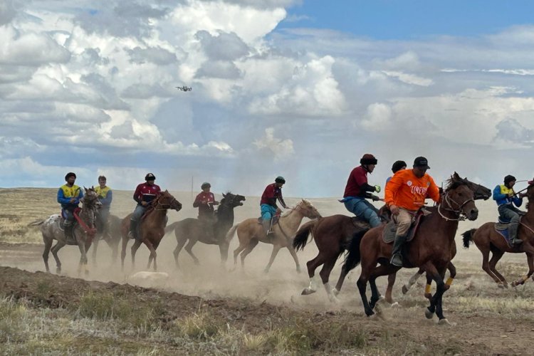 Порнодағы бренди махаббат