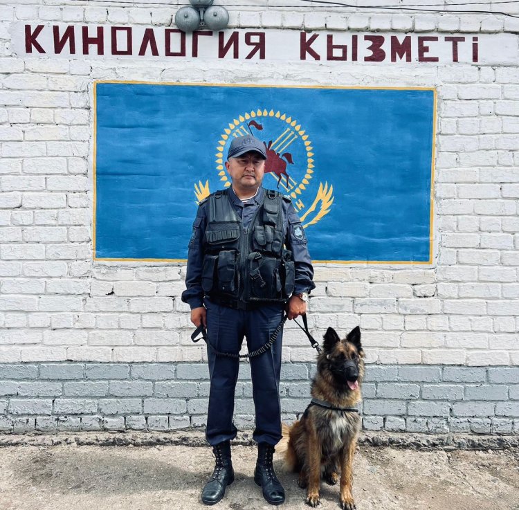 Павлодарда иісшіл ит жоғалып кеткен екі қызды тапты