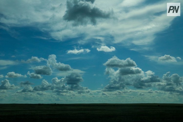 Конституция күні Павлодар облысында жаңбыр жауып, найзағай ойнайды