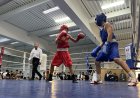 Павлодарлық боксшыларды көгілдір экраннан көрсетеді