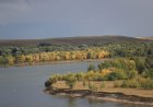 Где в Павлодарской области найти «цветок пустыни»