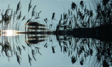 Павлодар облысында су ресурстарын пайдалану тарифтері қайта қаралады