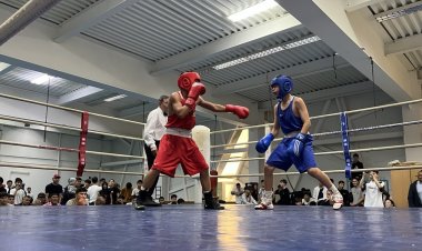 Павлодарские боксеры предстанут на голубых экранах