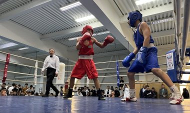 Павлодарлық боксшыларды көгілдір экраннан көрсетеді