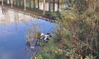 Павлодарлықтар халықаралық «World Clean Up Day» акциясына атсалысты