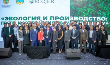 Аксуская электростанция первая в Центральной Азии установит передовые экофильтры