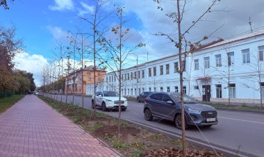 Жөке ағаштары отырғызылды: Павлодарлық экологтар сақтыққа шақырады