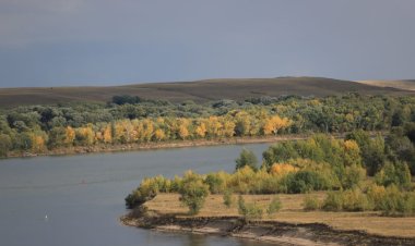 Где в Павлодарской области найти «цветок пустыни»