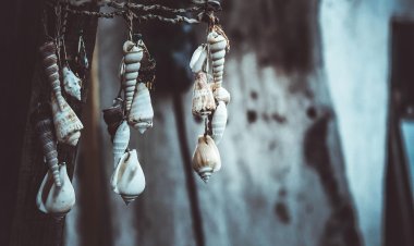 Во Франции обнаружили древнейшую ювелирную мастерскую