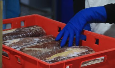 Тереңкөлдік кәсіпорын ет консервілерін өндіруді көздеп отыр