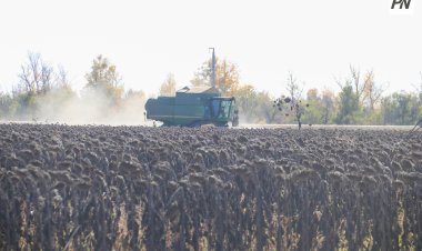 Аққулыда бақша дақылдары ауыл шаруашылығындағы басты жетістікке айналды