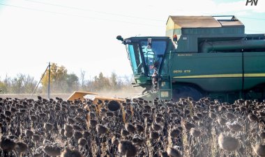 Павлодар облысында агроөнеркәсіптің дамуына ықпал ететін жобалар ұсынылды