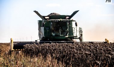 Павлодар облысының ауыл шаруашылығында ғылыми тәсілге басымдық берілуде