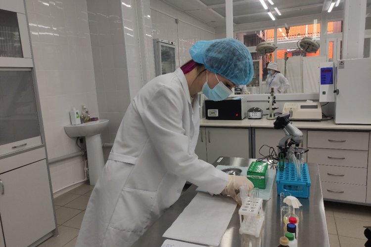 жезөкшенің порно фотосуреттері