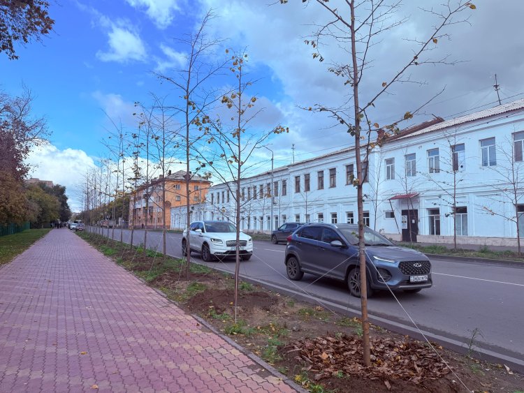 Эксперимент с липами: павлодарские экологи призывают к осторожности