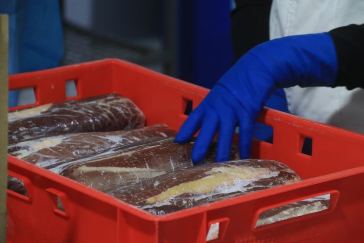 Тереңкөлдік кәсіпорын ет консервілерін өндіруді көздеп отыр