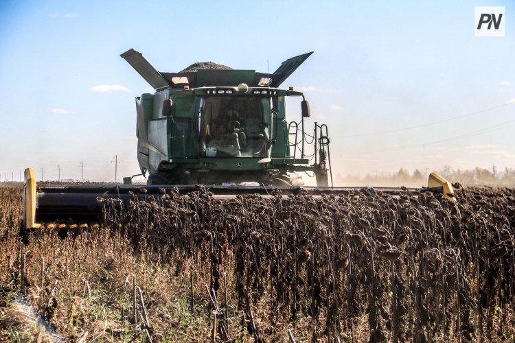 Павлодар облысында егістіктен қоймаға дейінгі жұмыс қыза түсті