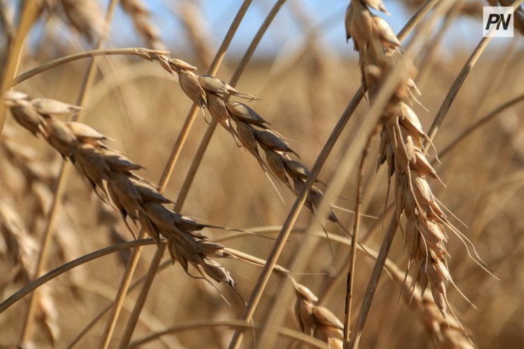 Павлодарская область усилила позиции на инвестиционной карте страны