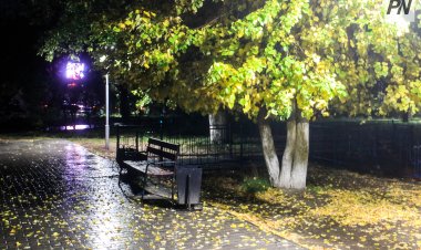 Туман и гололёд: погода в Павлодарской области 3 октября