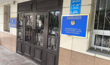 В Павлодаре осуждённого за хранение рогов сайгаков освободили из зала суда