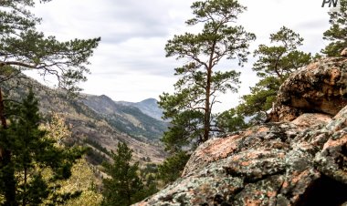 Баянауыл ұлттық паркі 40 жылдық мерейтойын атап өтті