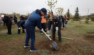 Екібастұзда вокзал маңындағы скверде қайың мен балқарағай көшеттері отырғызылды