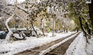 5 ноября в Павлодарской области ожидают снег и низовую метель