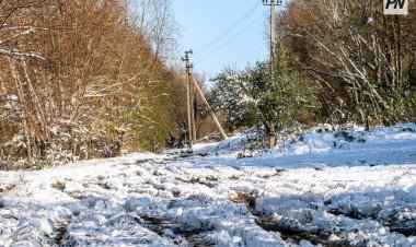 6 қарашада Павлодар облысында бұрқасын болады