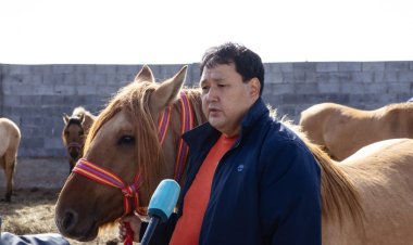 Екібастұзда дүнежүзілік сарапшылар жылқы шаруашылығын дамытуды талқылады