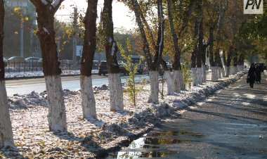 Облачно будет в Павлодарской области 16 октября