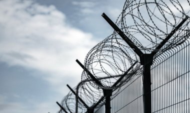 Павлодар облысында ер адам түрмеге телефон өткізбек болды