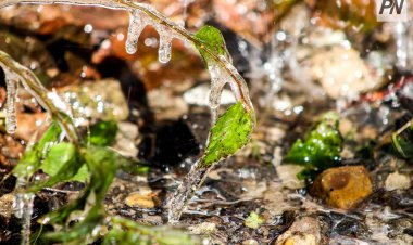 17 октября в Павлодарской области потеплеет