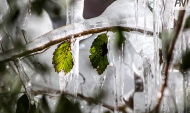 14 наурызда Павлодар облысында боран мен көктайғақ күтіледі