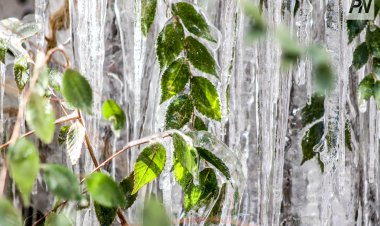 8 желтоқсанда Павлодар облысында көктайғақ күтіледі