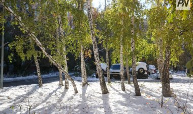 14 қарашада Павлодар облысында күн ашық болады