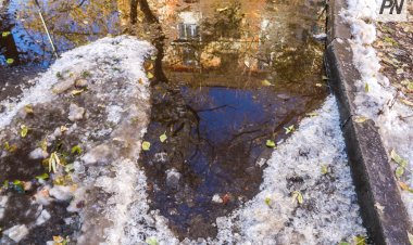 Низовая метель и гололед возможны 22 ноября в Павлодарской области