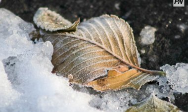 21 октября в Павлодарской области не будет осадков