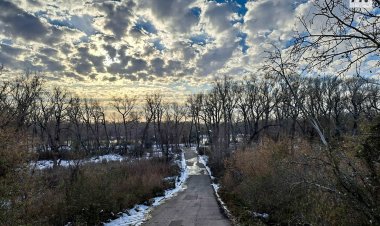 Небольшой снег и низовую метель ожидают 29 ноября в Павлодарской области