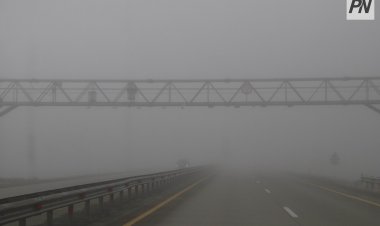 Павлодар облысында көлік қозғалысына шектеу қойылды