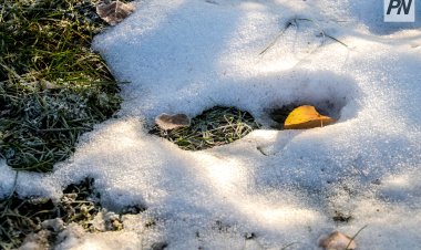 Қарашаның басында Павлодар облысында қар жауады