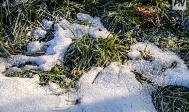 Павлодар облысында алдағы аптада ауа температурасы +20 градусқа дейін көтеріледі