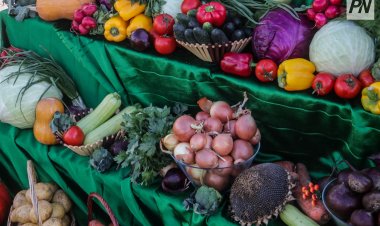 Павлодарская сельхозярмарка приглашает жителей региона