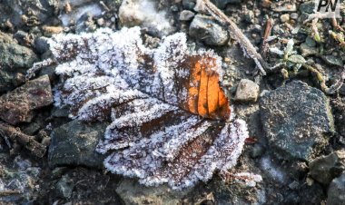 Облачно будет в Павлодарской области 29 октября