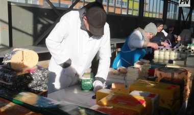 Павлодарда сенбілік ауыл шаруашылығы жәрмеңкесі өтеді