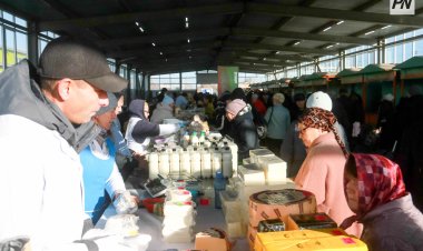 Павлодарцев пригласили на сельхозярмарку