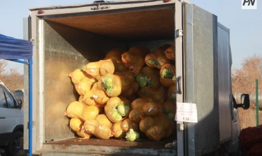 Павлодарда кәсіпкерлерге сауда заңнамасының жаңа талаптары түсіндірілді